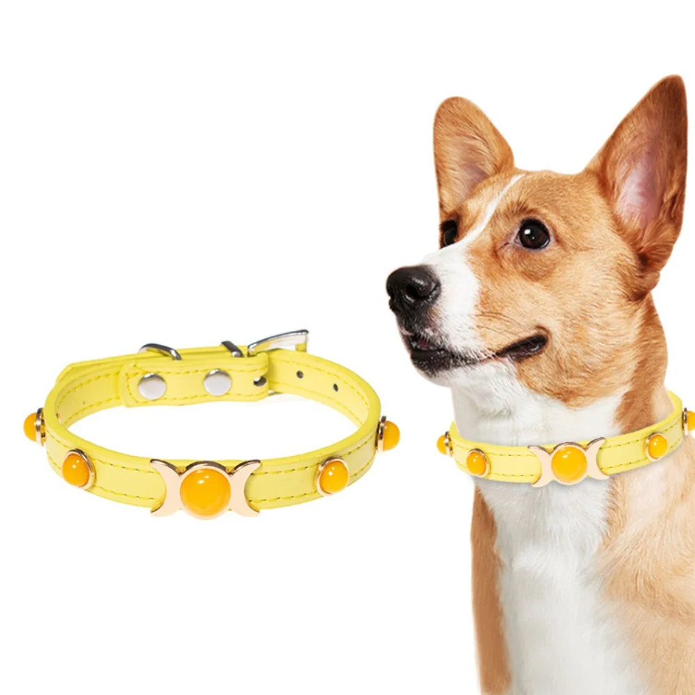 Citrine Pet Collar - Image 2