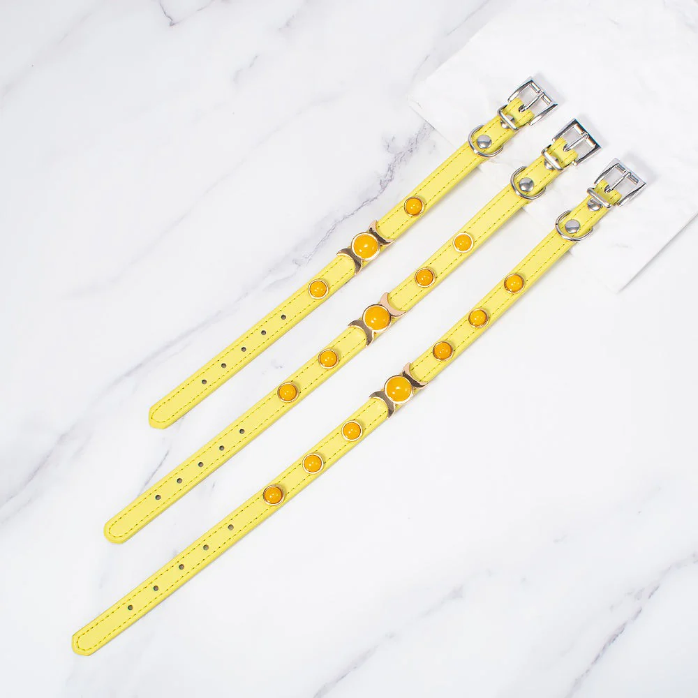 Citrine Pet Collar - Image 4