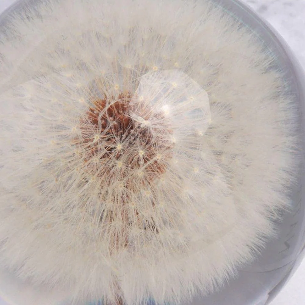 Dandelion Crystal Glass Ball - Image 4