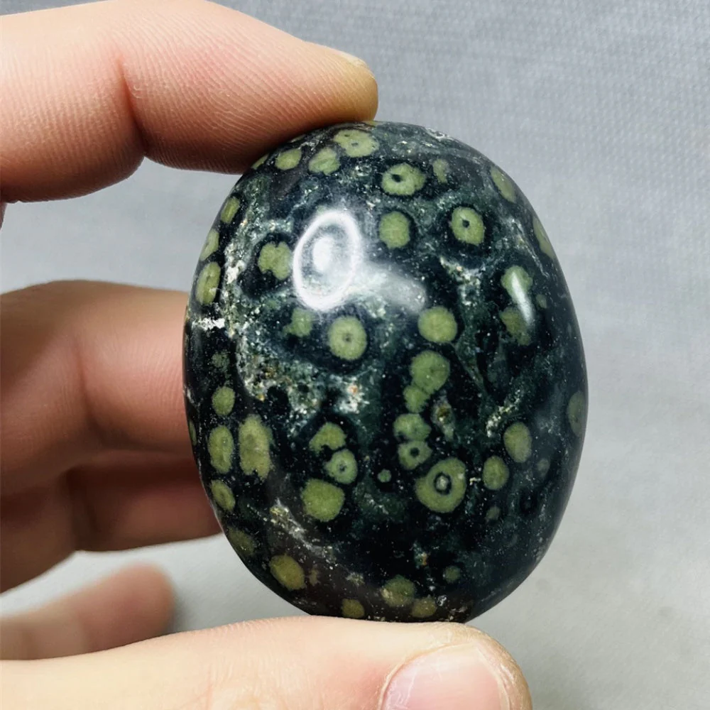 Peacock Eye Palm Stone - Image 3