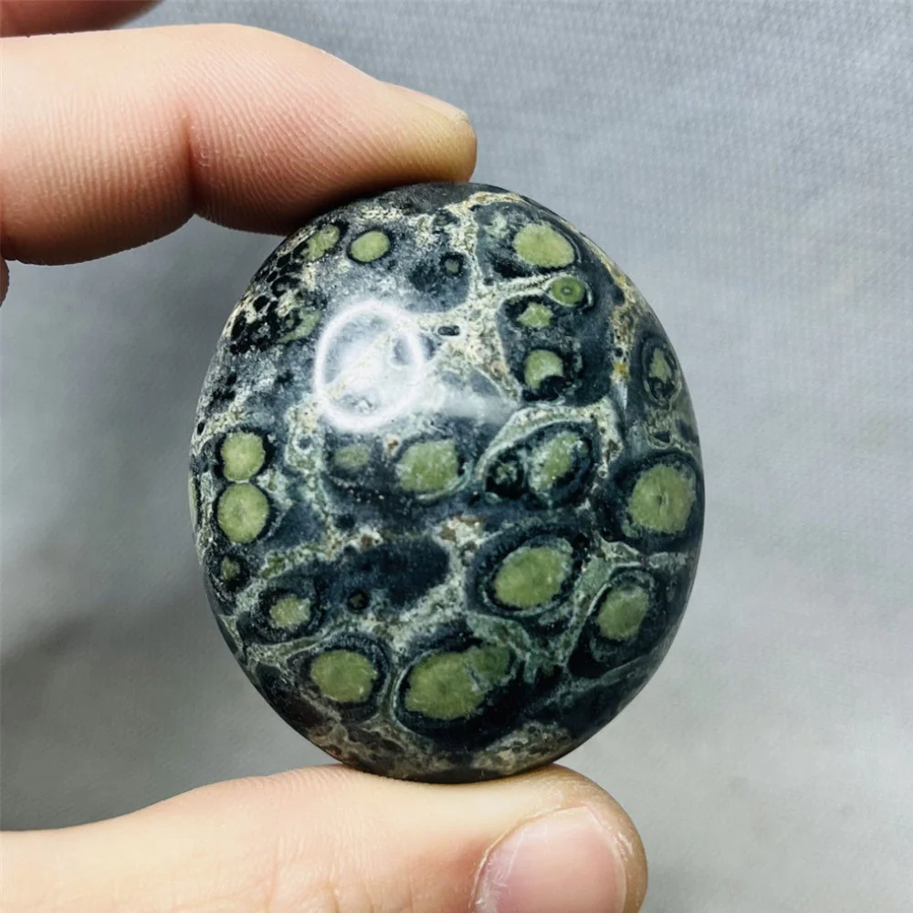 Peacock Eye Palm Stone - Image 4