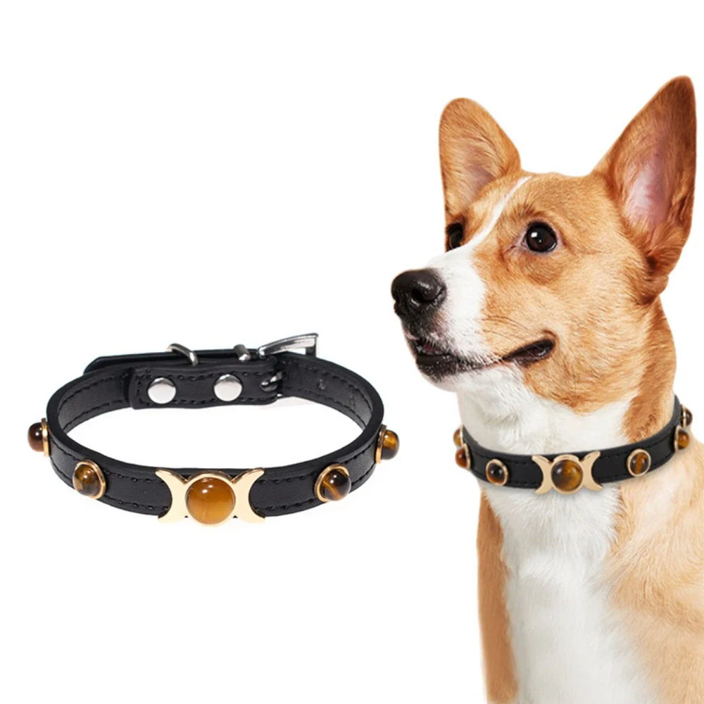 Tiger's Eye Pet Collar - Image 2