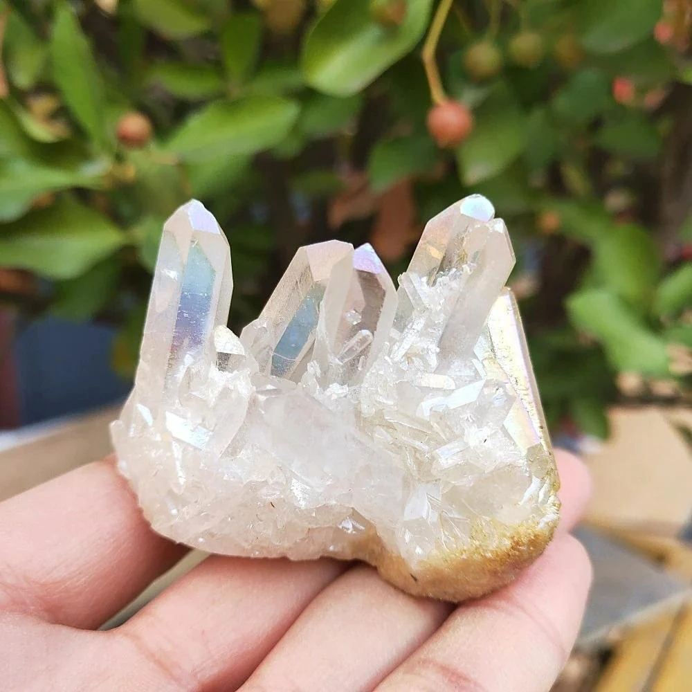 White Angel Raw Clear Quartz Crystal - Image 5